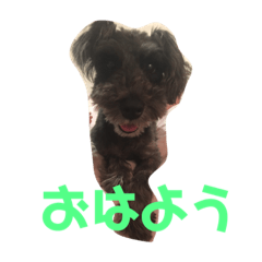 itakura nana chan