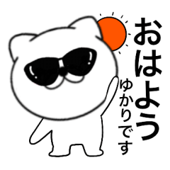 Sunglasses Cat Yukari