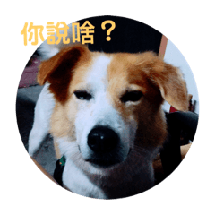 阿嗚饅頭小劇場