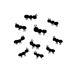 everyday_crude