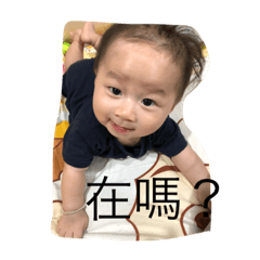 是是