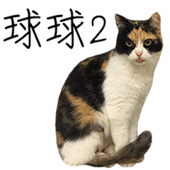 球球貓 2
