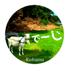 Kohama island-Okinawa