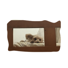 jojo dog