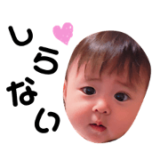 cocone1