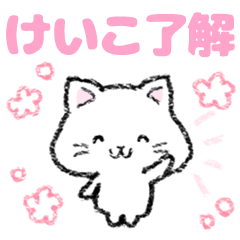 【けいこ・ケイコ】白猫 でか字 お名前