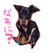 TAKASU HANA