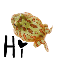 bubu寶寶說你好