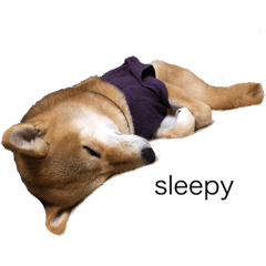 kurahanaceashmar