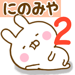 Rabbit Usahina ninomiya 2