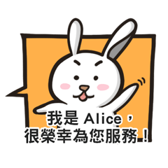 Alice 愛麗絲 專屬