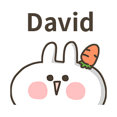 【David】專用貼圖-蘿蔔兔