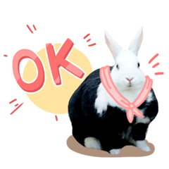 Suit rabbit Bobo – LINE stickers | LINE STORE
