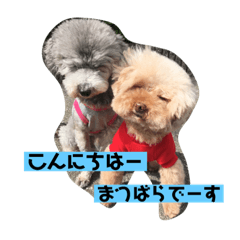 reiko.m