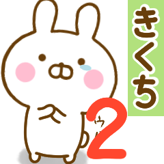Rabbit Usahina kikuchi 2