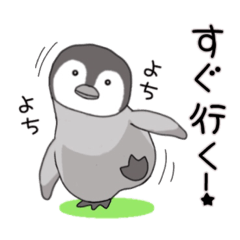 ペンギン「ぺぺぺ」の基本スタンプ