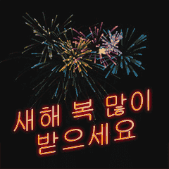 new Year+Congratulations=Fireworks (ko)