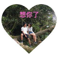 Shinerry Sticker