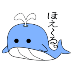 nobobi pretty whale Sticker