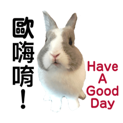 bobo is so cute – Stickers LINE | LINE STORE