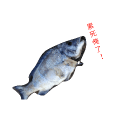自然簡單生活