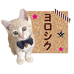 KIYOREO3 Sticker