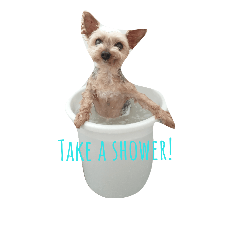 QQ Loves Life!