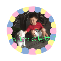 renren8