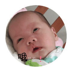 小肉包第一彈❤️