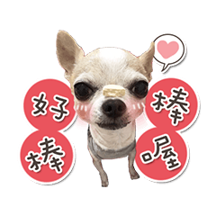 王橘子的專屬貼圖