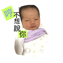 啊寶的生活