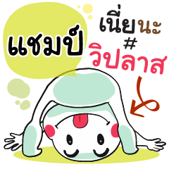 Champ , Chat Massage