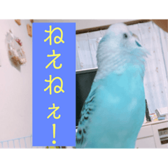 Marin's life! 2