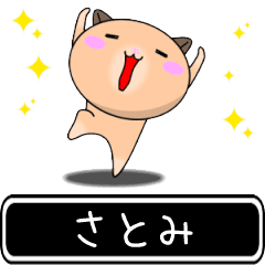 Satomi only cute high speed Sticker