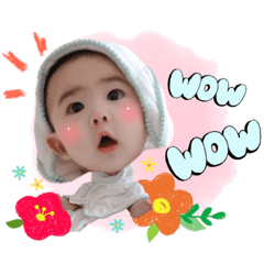 我是妍寶包