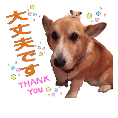 キョンキョンのスタンプ