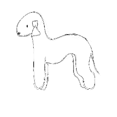 Bedlington(illustration)