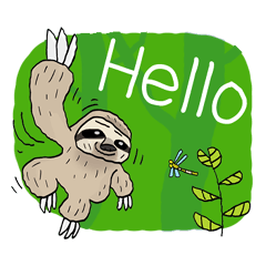 Sloth Slow Cute
