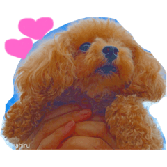 ahiru's stamp