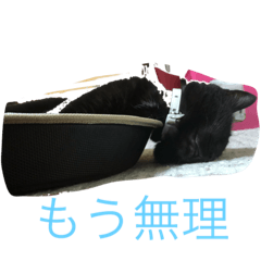 MUMU-REOREO-KOKO3