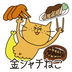 Shachihoko cat(Nagoya expedient)