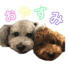 Sticker of Rui and a Coa