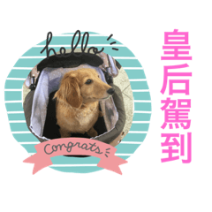 臘腸糖糖
