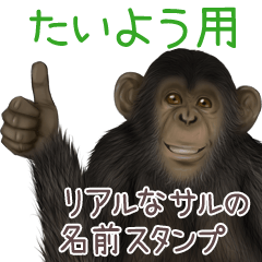 Taiyou Monkey's real name Sticker