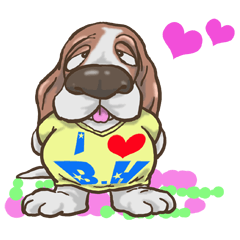 Basset hound 22(dog)