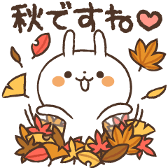 Rabbit autumn life