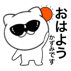 Sunglasses Cat Kazumi