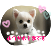 HARU&KINA2