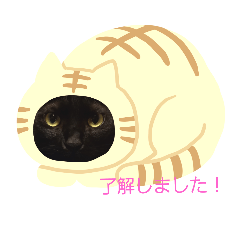 chichipopo0628