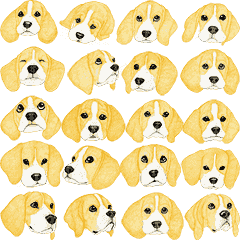 Beagle motion sticker (English)